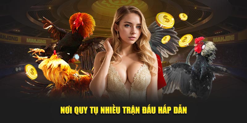 Nơi quy tụ nhiều trận đấu hấp dẫn, gay cấn nhất 