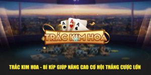 Trắc Kim Hoa SHBET - Bí Kíp Giúp Nâng Cao Thắng Cược Lớn